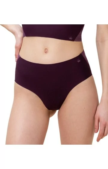 Triumph Flex Smart Maxi EX