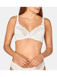 Triumph Amourette 300 W