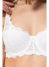 Triumph Amourette 300 WHP