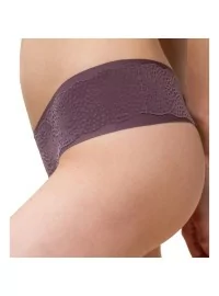 Triumph Velveteen Sensation Brasiilia