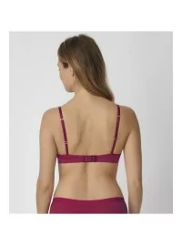 Triumph Aura Spotlight WHU (koos PUSH-UPiga)