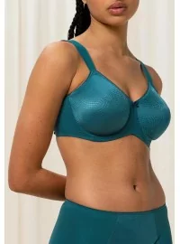 TRIUMF OLULINE MINIMEERIJA W