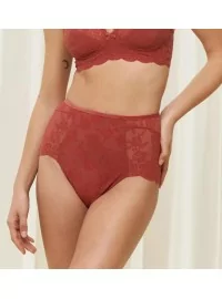 Triumph Amourette 300 Rococo Highwaist püksikud