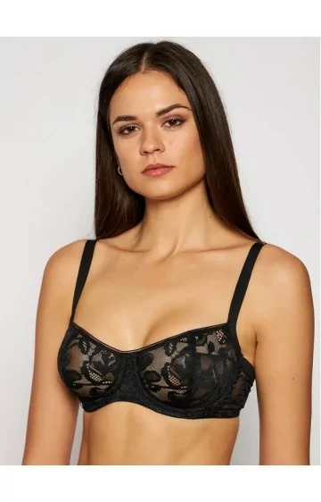 Triumf Illustreeritud Rose W