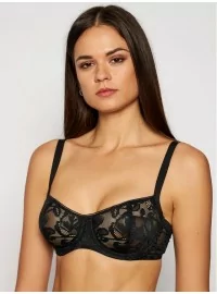 Triumf Illustreeritud Rose W