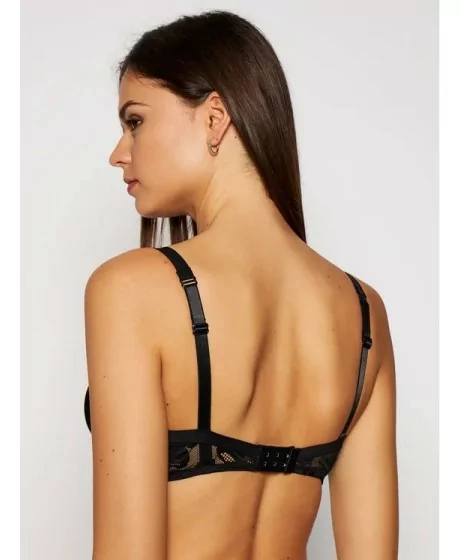 Triumf Illustreeritud Rose W