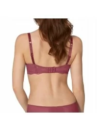 Triumph Lace Spotlight WHP01