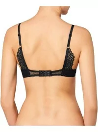 Triumph Darling Spotlight WHP