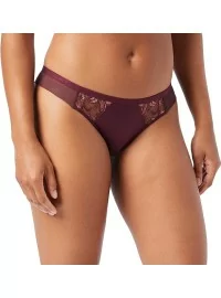 Triumph Freesia Florale Brasiilia