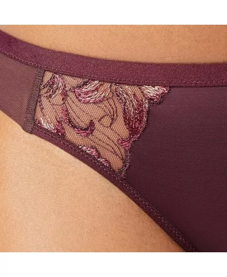 Triumph Freesia Florale Brasiilia