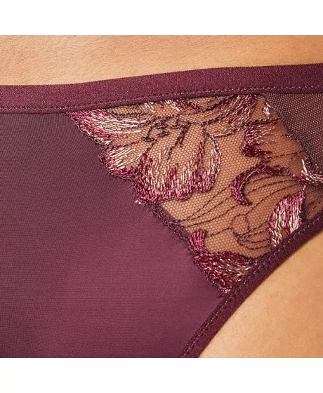 Triumph Freesia Florale Brasiilia