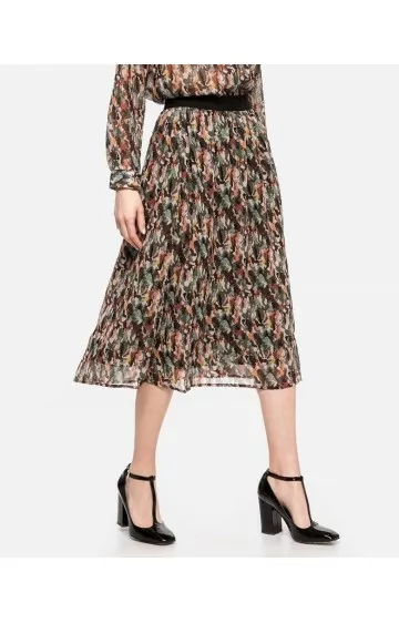 Sojakontseptsiooni seelik