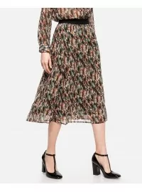 Sojakontseptsiooni seelik