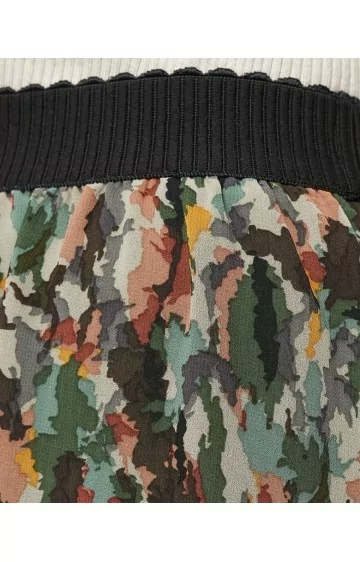 Sojakontseptsiooni seelik