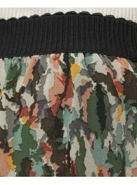 Sojakontseptsiooni seelik