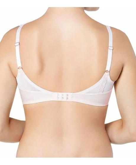 Triumph Azalea Florale W01