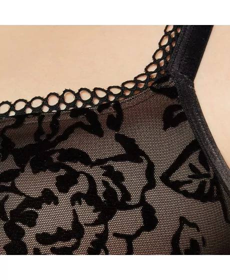 Triumph Velvet Rose Spotlight WHP