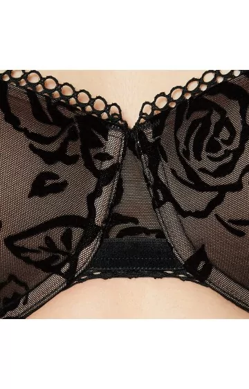 Triumph Velvet Rose Spotlight WHP