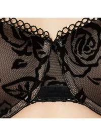 Triumph Velvet Rose Spotlight WHP