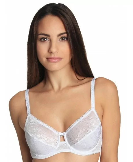 SASSA MODE rinnahoidja 29036