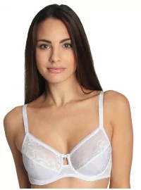 SASSA MODE rinnahoidja 29036