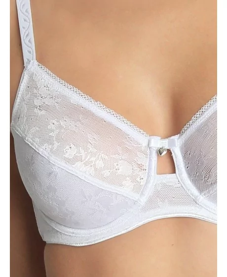 SASSA MODE rinnahoidja 29036