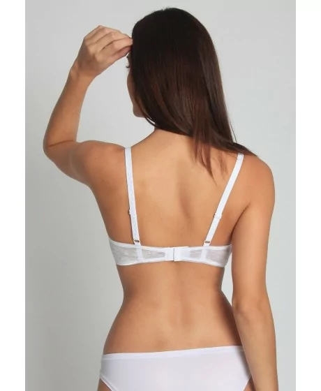 SASSA MODE rinnahoidja 29036