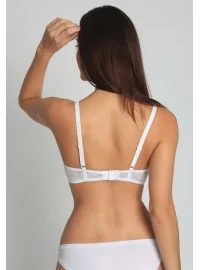 SASSA MODE rinnahoidja 29036