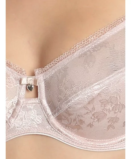 SASSA MODE rinnahoidja 29036