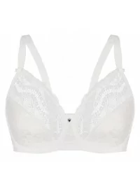 Sassa moe rinnahoidja