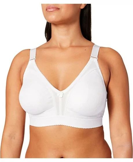 Sassa moe rinnahoidja