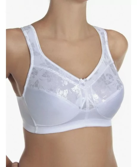 Sassa moe rinnahoidja