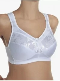 Sassa moe rinnahoidja