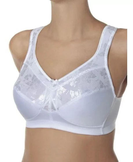 Sassa moe rinnahoidja