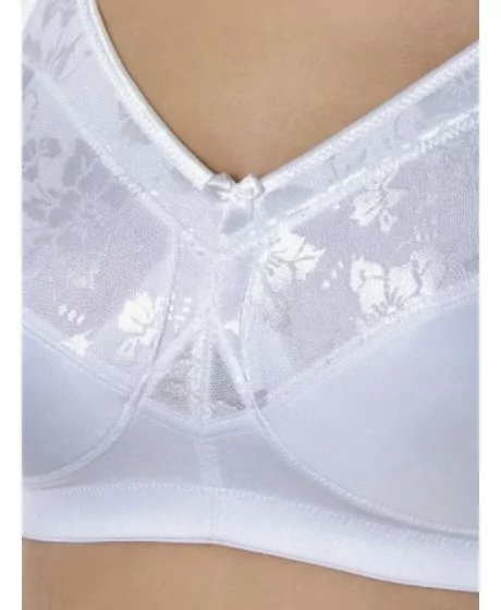 Sassa moe rinnahoidja