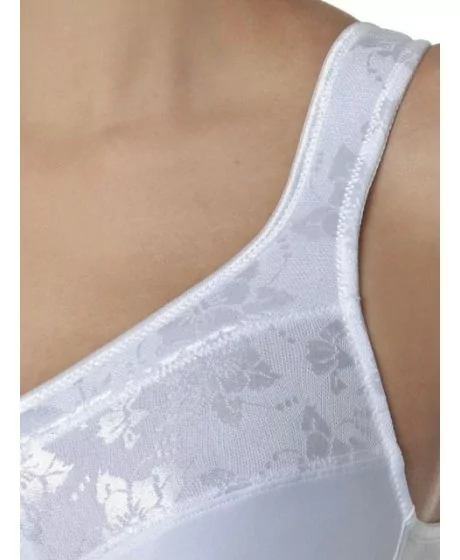 Sassa moe rinnahoidja