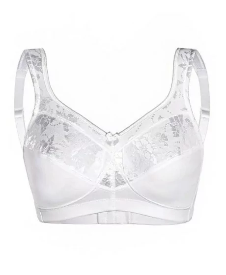 Sassa moe rinnahoidja