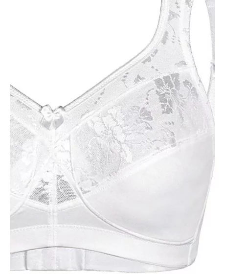 Sassa moe rinnahoidja