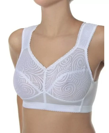 Sassa moe rinnahoidja