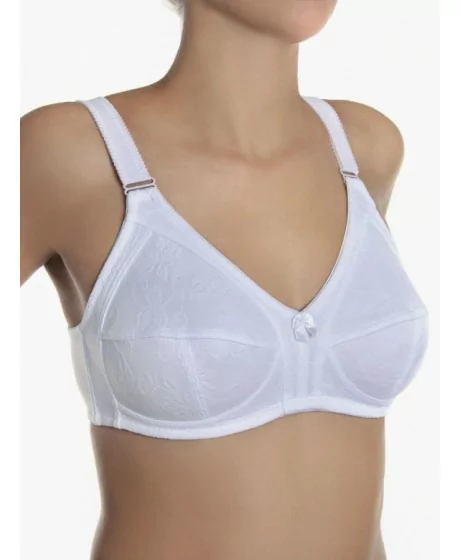 Sassa moe rinnahoidja