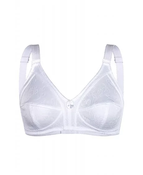 Sassa moe rinnahoidja