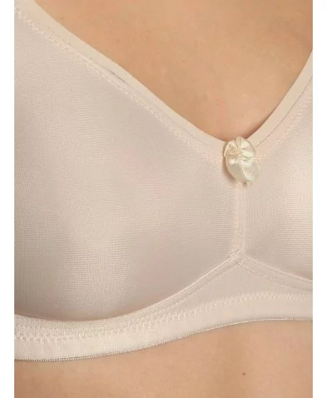 Sassa moe rinnahoidja