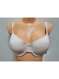 Sassa moe rinnahoidja