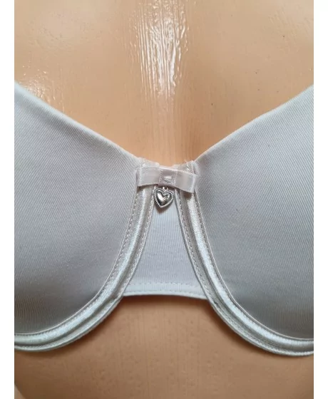 Sassa moe rinnahoidja