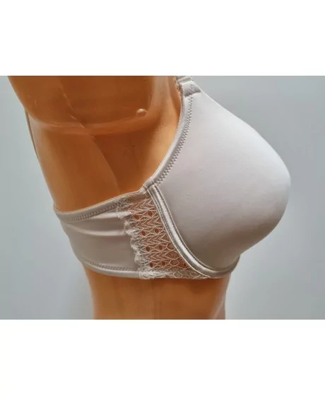 Sassa moe rinnahoidja