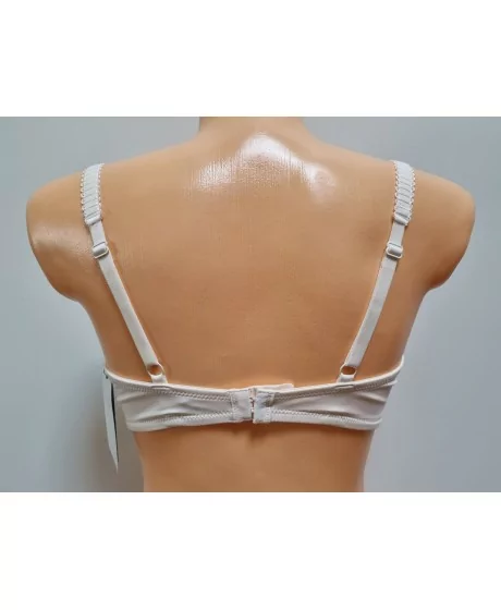 Sassa moe rinnahoidja