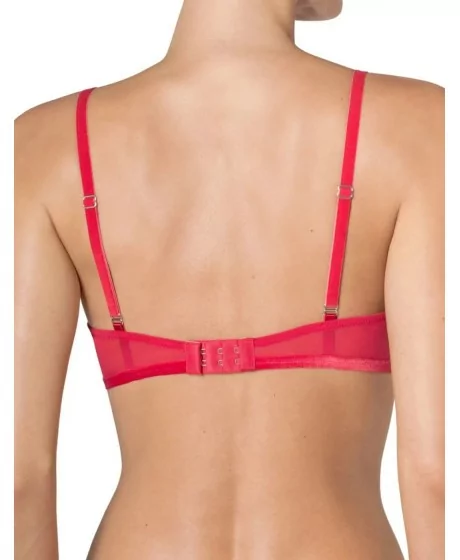 Triumph Enchanted Spotlight WHP rinnahoidja