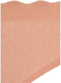 Sloggi Zero Feel Lace Brazil püksikud