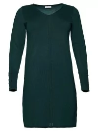 Sheego kleit peenest trikoodist